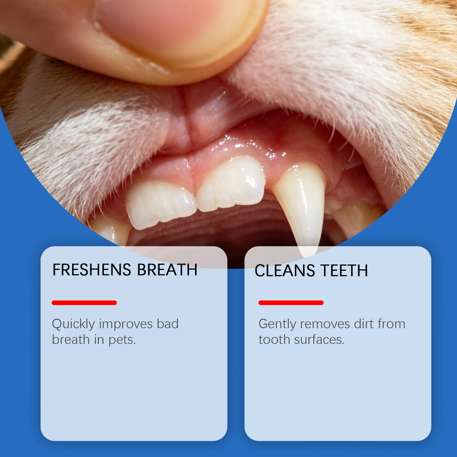 Pet Teeth Cleaning Spray Deep  - đánh giá và giá Teeth Whitening Brush