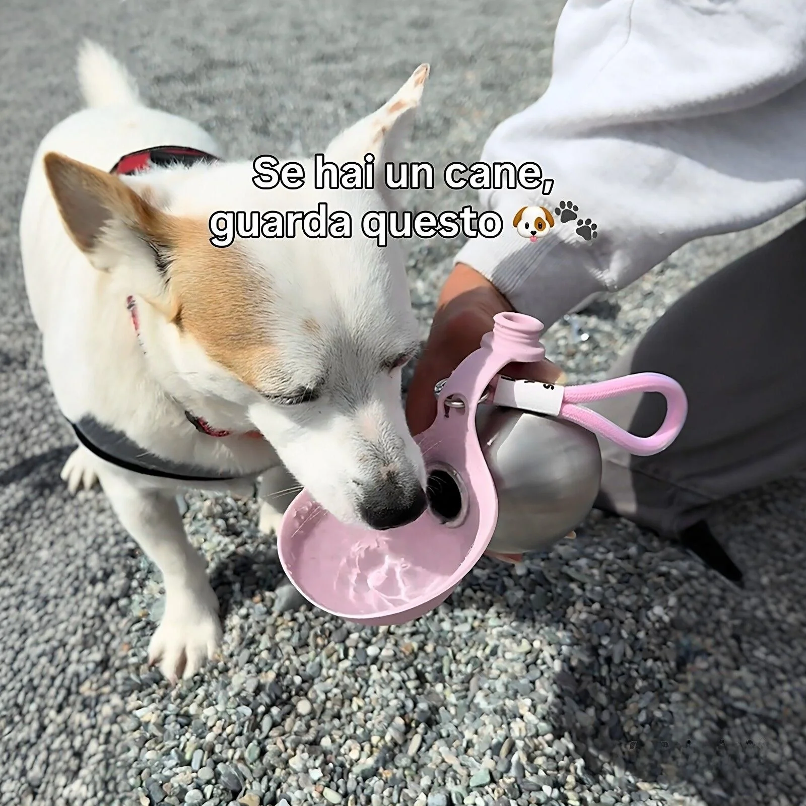 Stainless Steel Dog Water Cup Hook Ball Shaped Anti Leak Design Reflowable Stackable Water Fountain for Outdoor Use
