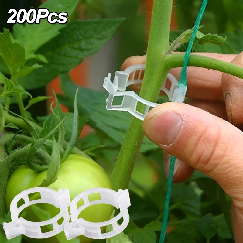 Plastic Plant Support Clips Reusable Garden Vegetable Tomato Vines Upright Twine Plant Fixed Clips Holder Grafting Fixing Tools