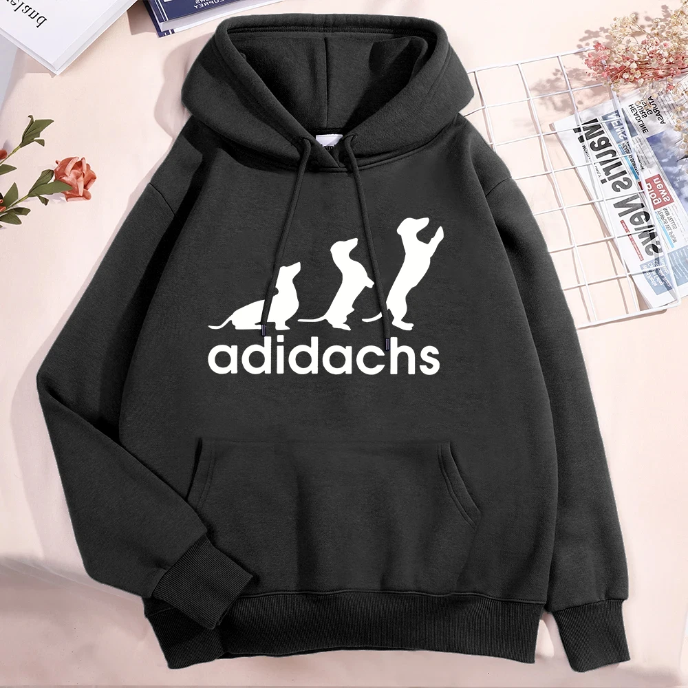 New Dachshund Dog Lover Printed Pullover Fashion Women Men Hoodies Dachshund Long Sleeve Casual Hooded Sweatshirt
