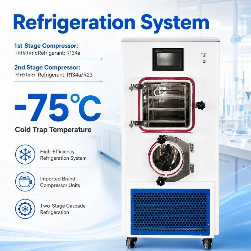 Customized Pilot Freeze Dryer 0.3m² Lyophilizer 4kg Per Batch PLC Control Freeze Drying Machine For Small Batch Food Production