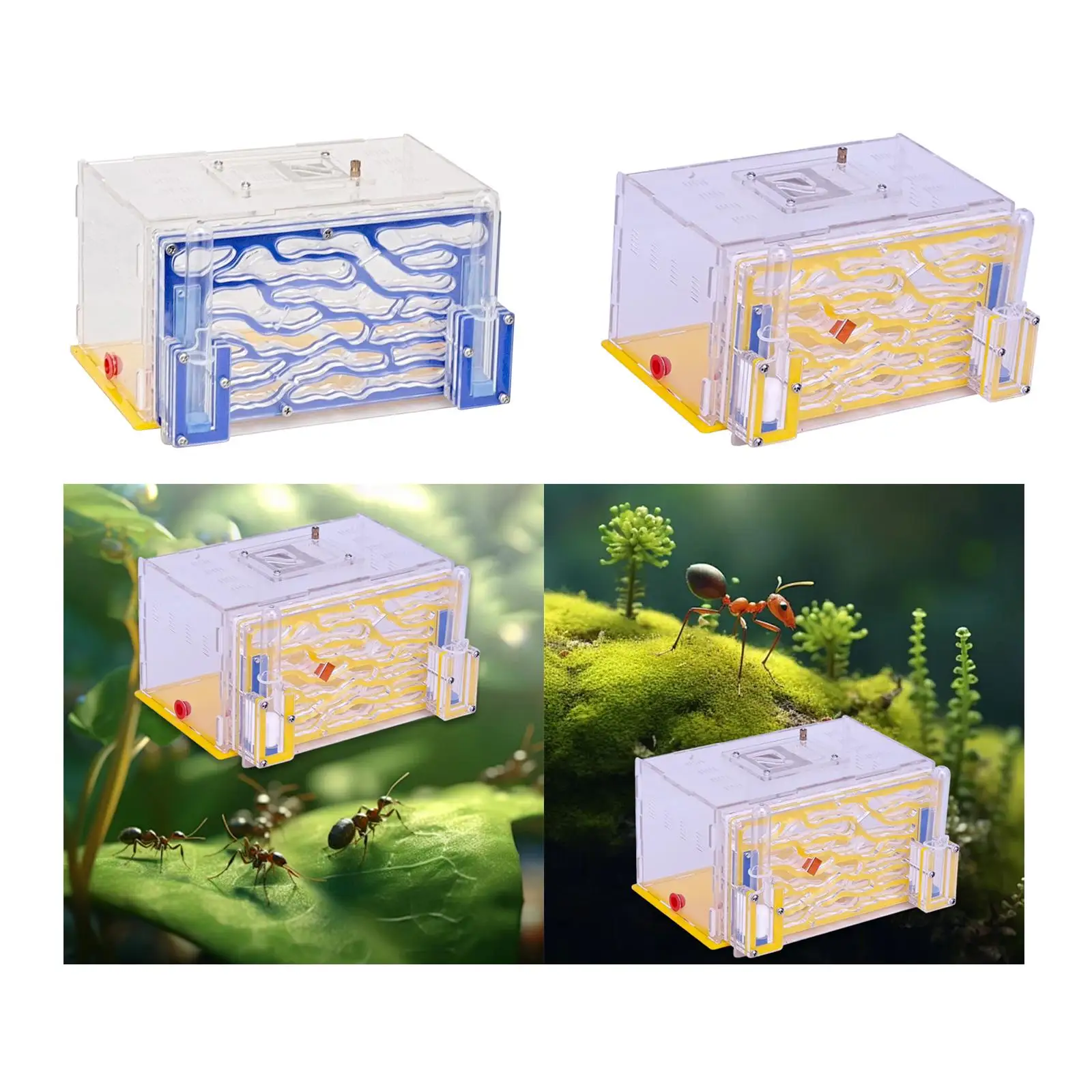 

ANT Housing Nest Acrylic Habitat for Gift Childrens Day Science Observation