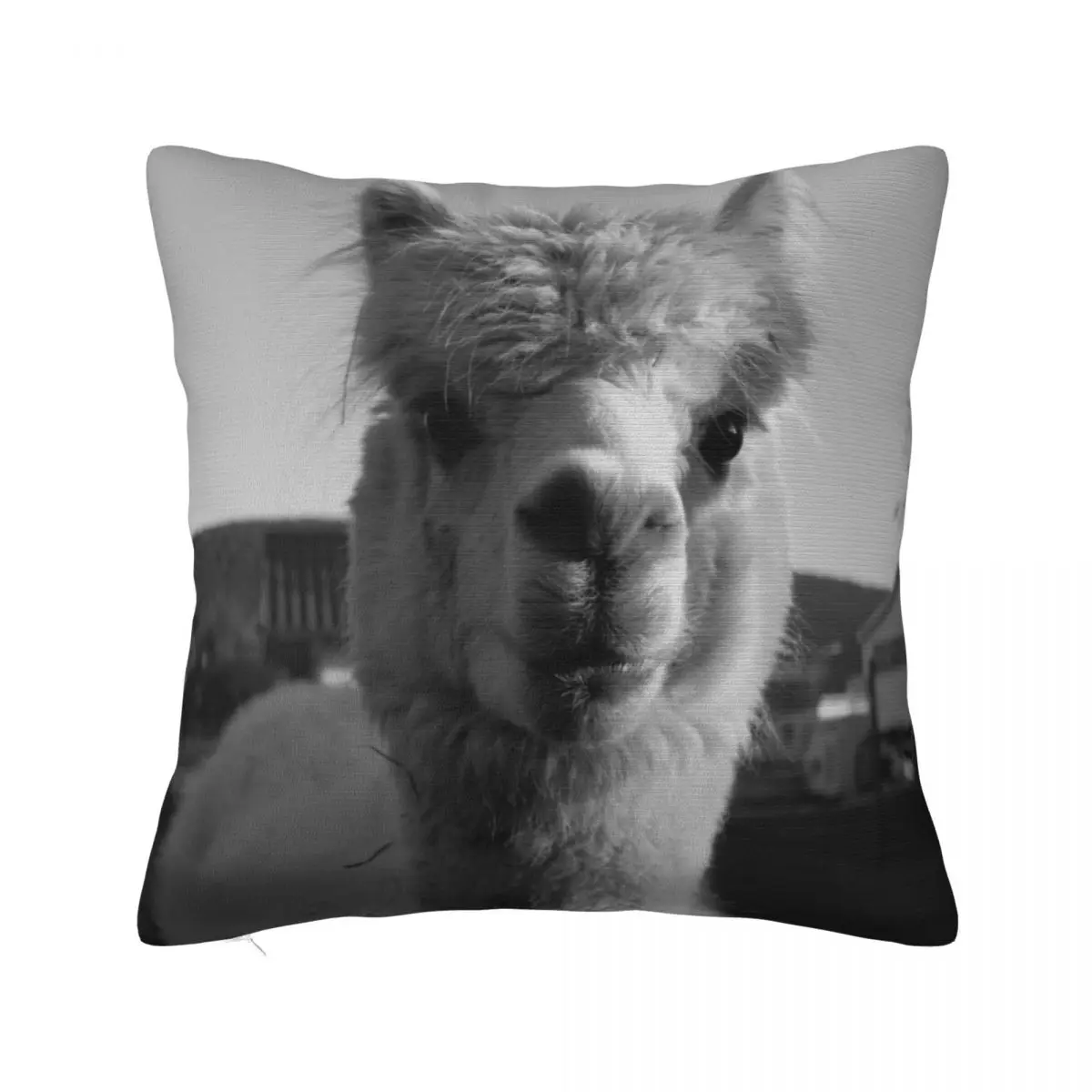 

Alpaca Black & White Lama Peru Alpaka Sweet / ALPACA LOVE Collection Throw Pillow Bed pillowcases Sitting Cushion