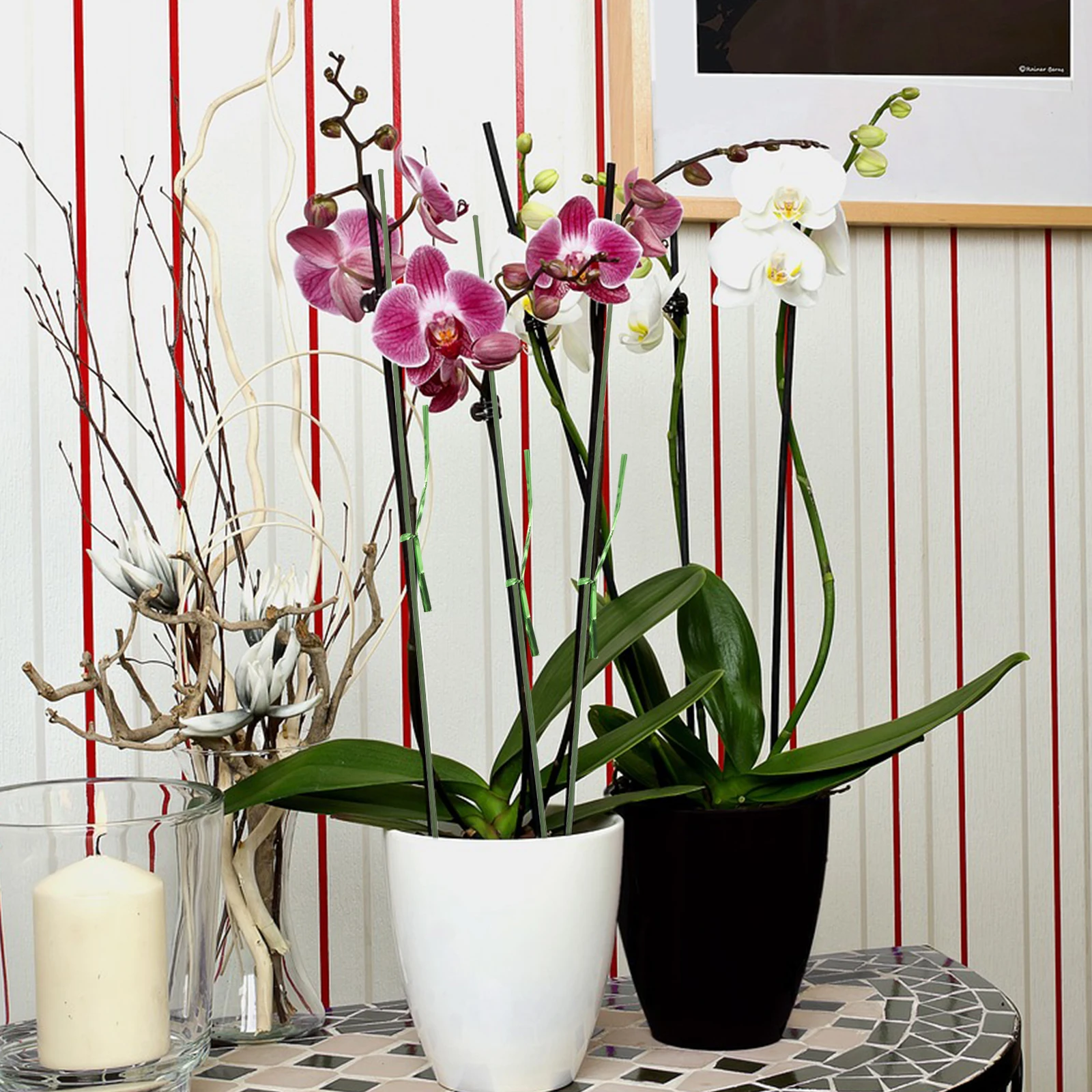 

20 Pcs Plant Support Stakes Plastic Coated Indoor Garden Climbing Vine Trellis Metal Sturdy Sticks Flowers Vegetables