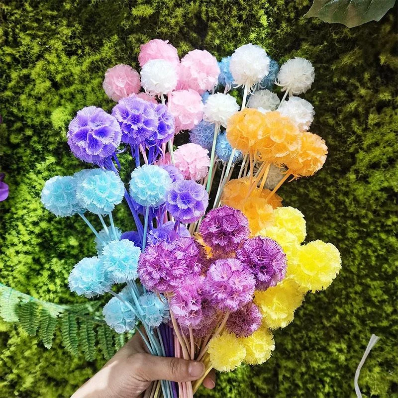 

10Pcs Natural Windmill Fruit Dried Flower Bouquet Real Touch Flowers for Home Wedding DIY Floral Arrangement Kitchen Table Decor