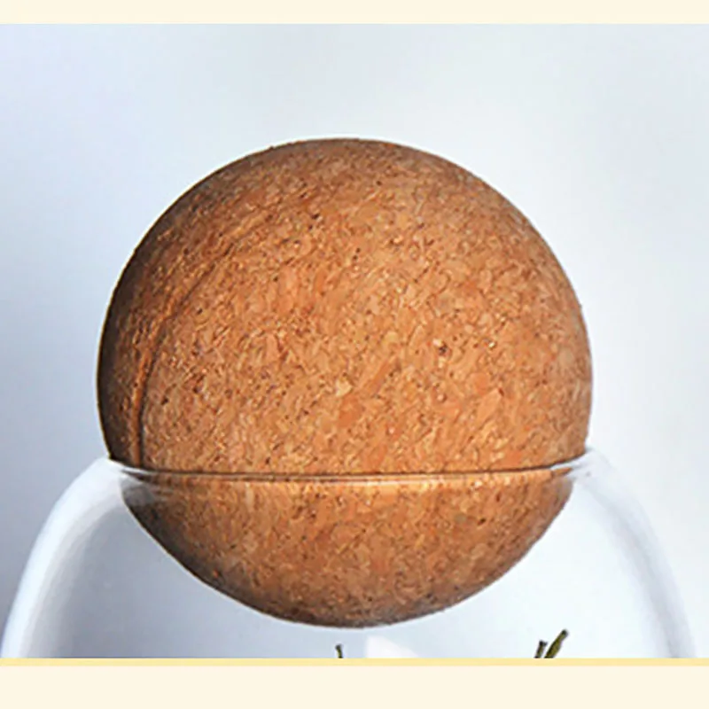 

Креативные простые украшения для дома, гостиной, стола, украшение для винного шкафа, прозрачное стекло, практичное хранилище, герметичная банка для хранения