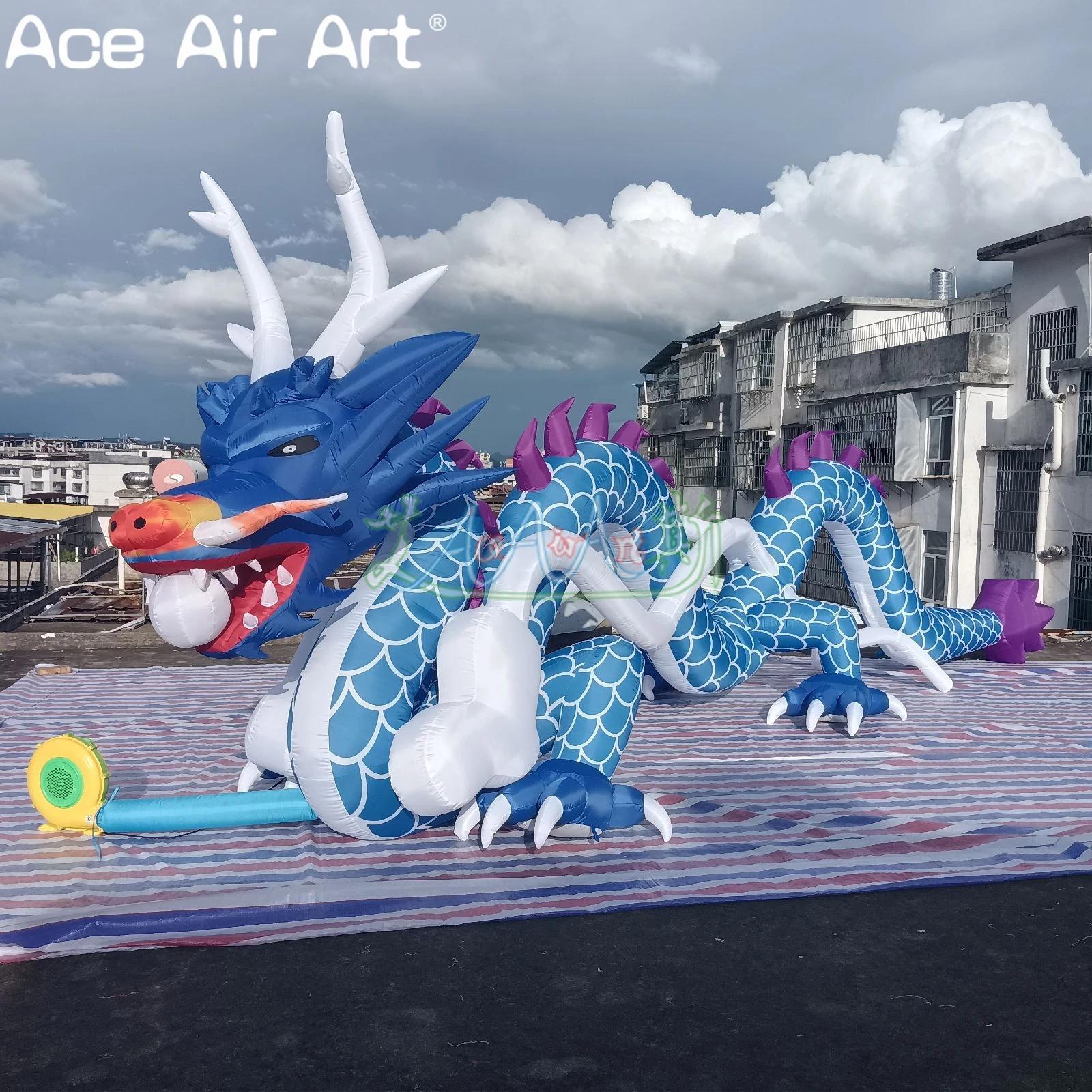 

New Year decoration blue inflatable dragon, realistic inflatable dragon for advertising decoration