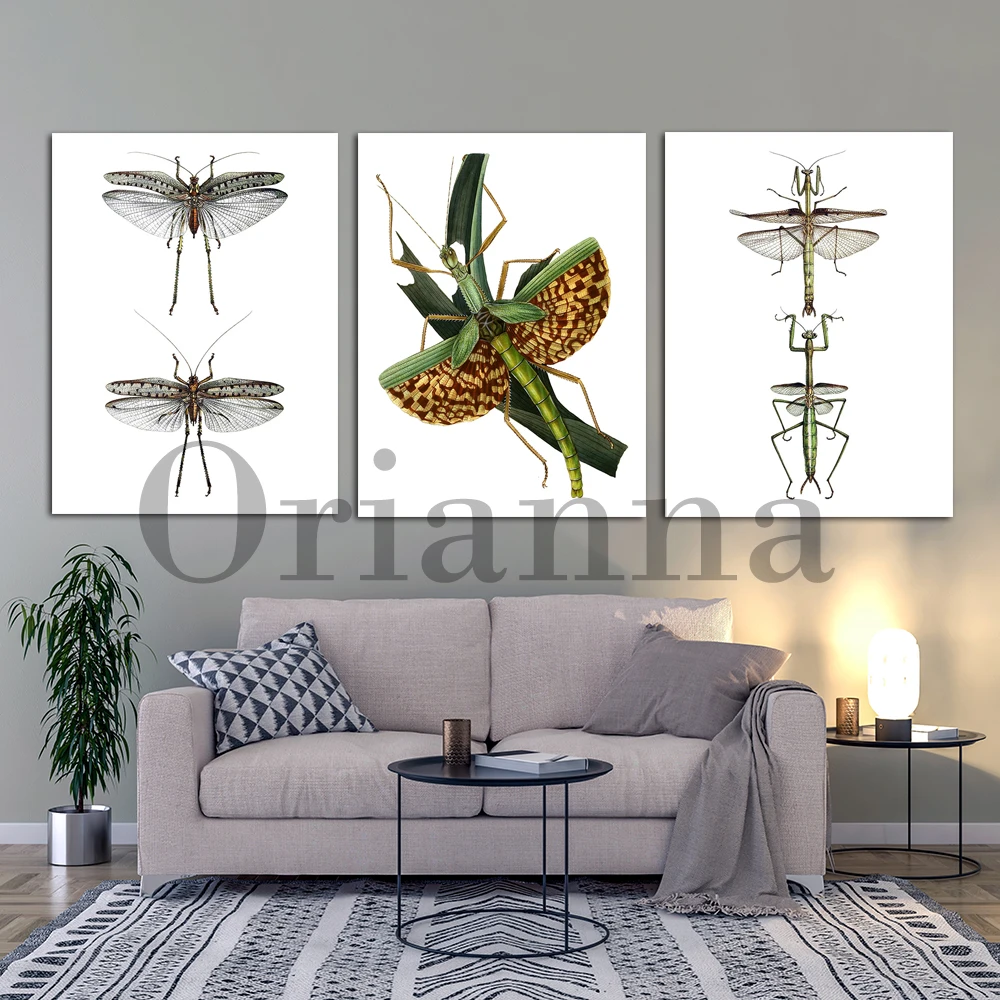 Giant Mantis Speckled Grasshopper Vintage Bug Knowledge Modern Wall Art Prints Posters Living Room Kids Room Decor Painting