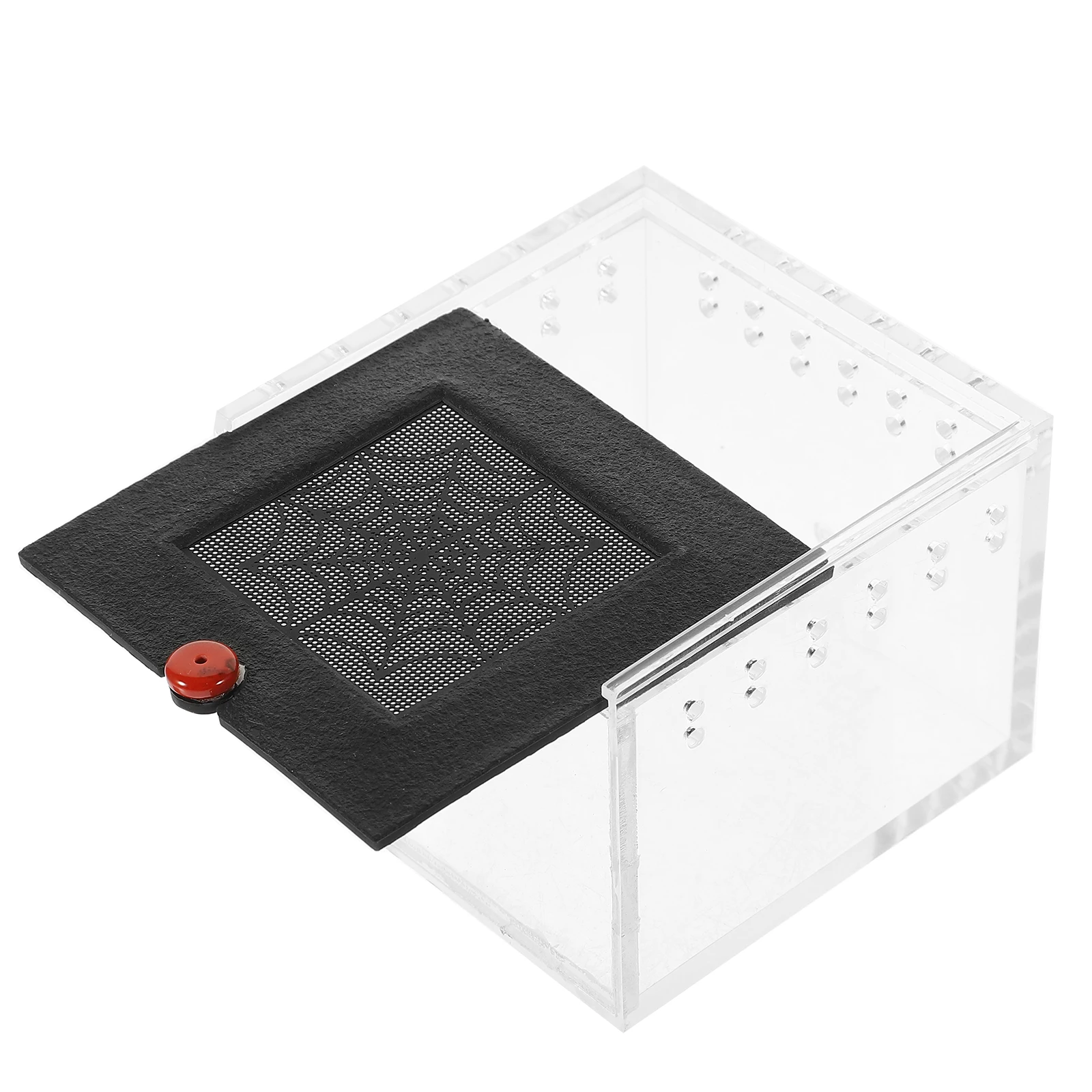 Clear Acrylic Reptile Feeding Boxes 3