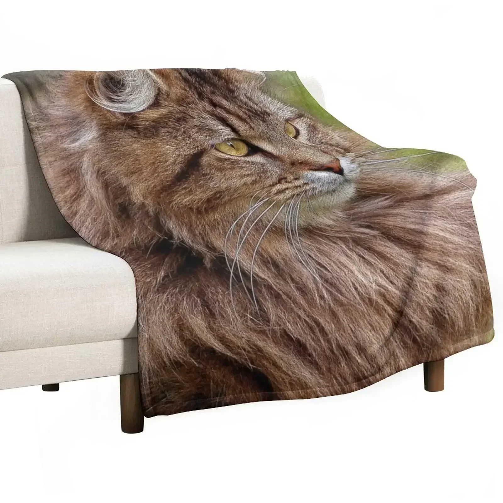 Maine Coon Cat Artwork Throw Blanket Soft Comfort Blanket for Reading Watching TV