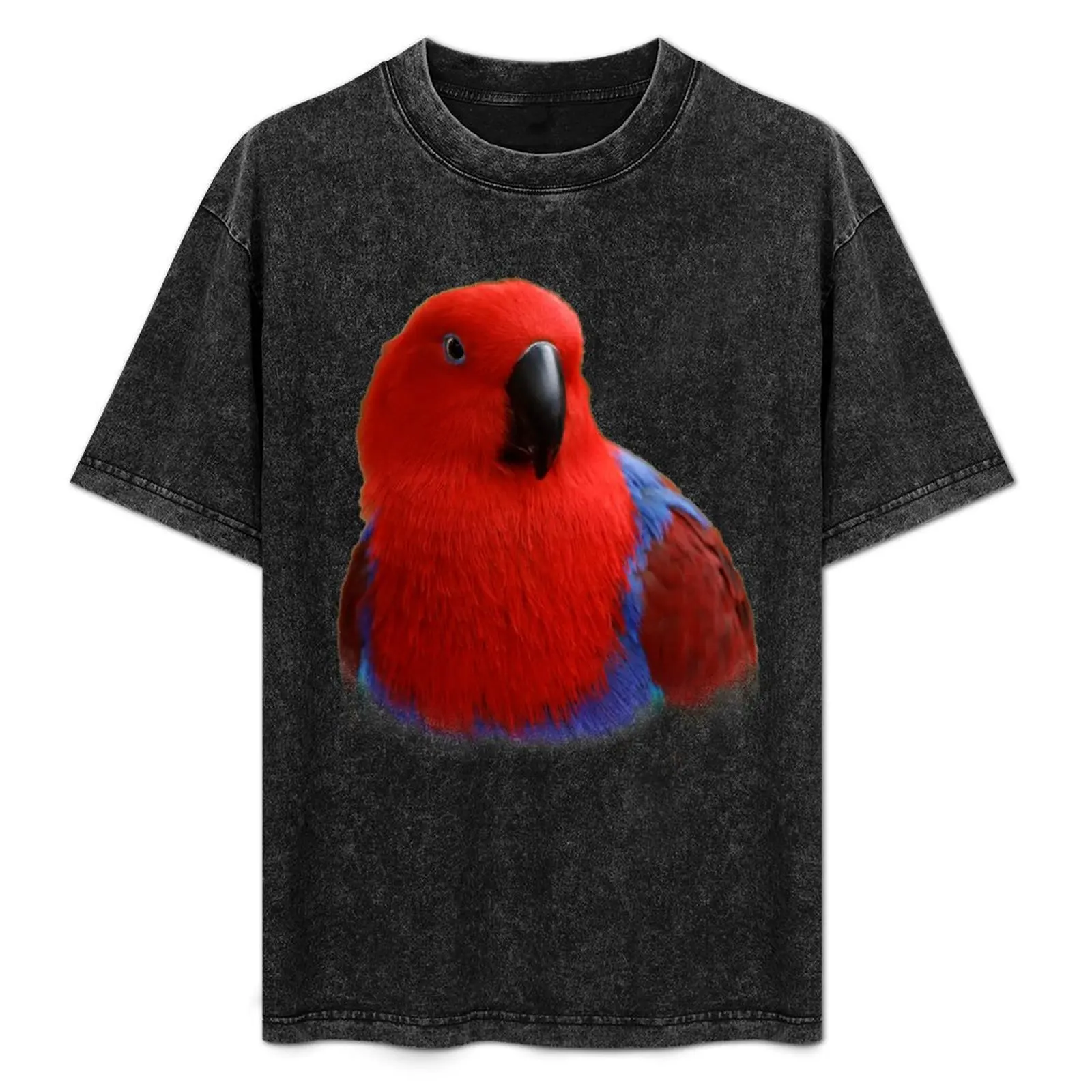 Beautiful Lady in Red Eclectus Parrot T-Shirt kawaii clothes oversized shirts graphic tees t shirt men