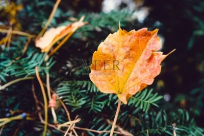 

For Arrma 1/14 Typhon Grom Small Typhoon Tires, Sand Digging Tires, Snow Tires, Beach Tires