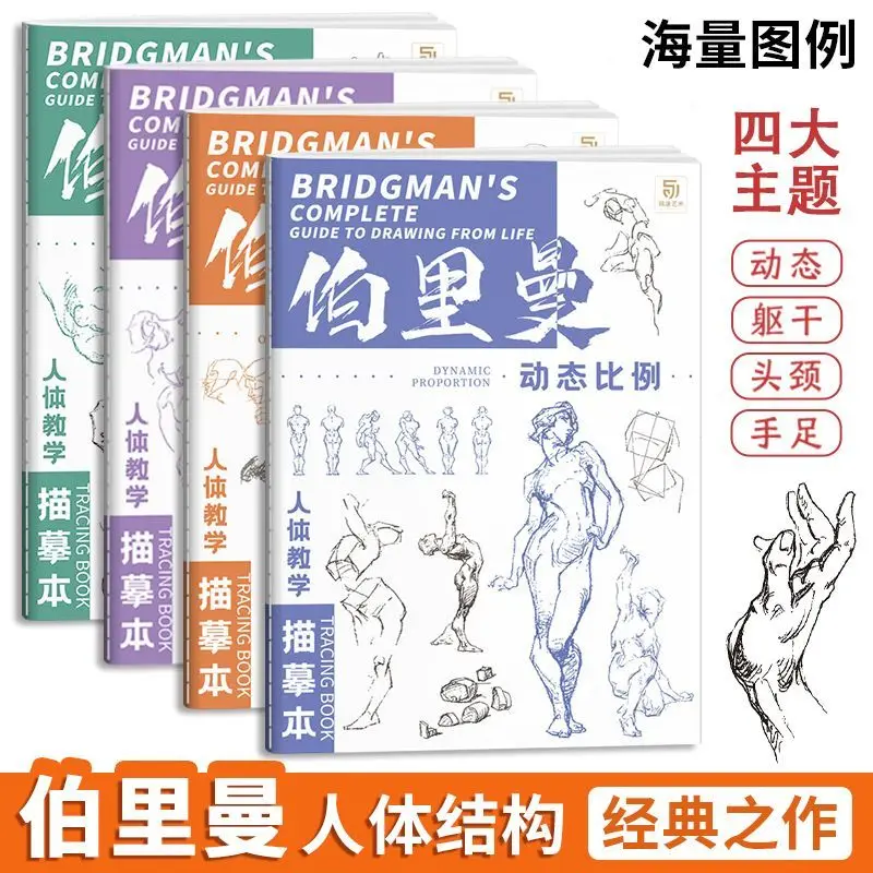Berryman's Teaching Copy of The Human Body Tracing Book Set of 4 Books Dynamic Scale Head and Neck Structure Human Body Sketch