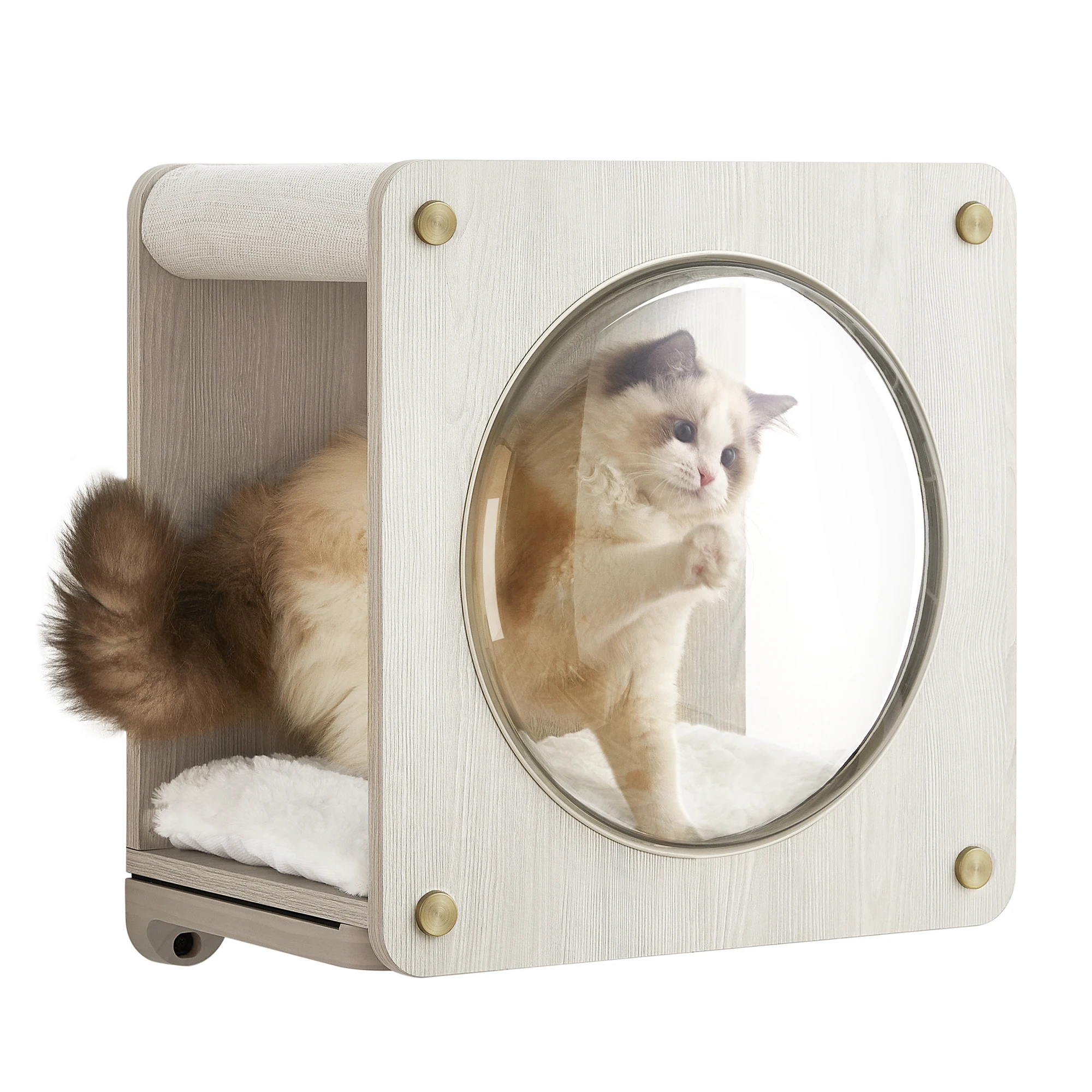 

Feandrea Clickat Collection - No.010 Cat Cave, Cat Wall Condo House with Hammock, Observation Window, Extremely Quick Assembly