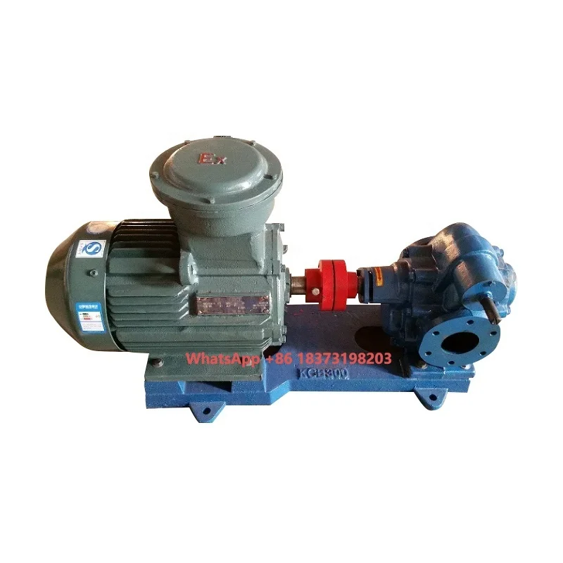 

Fuel Oil Transfer Gear Pump in Cast Iron KCB200
