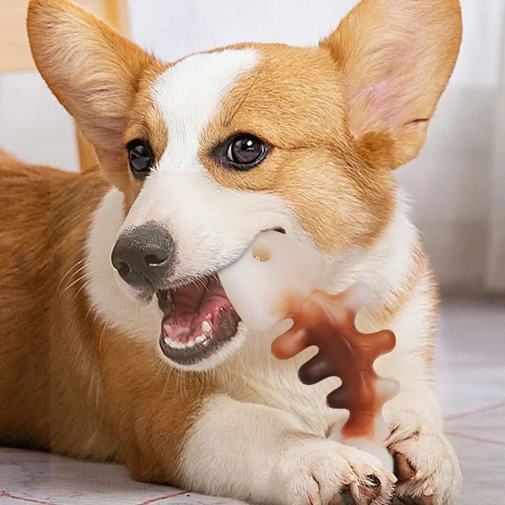 インタラクティブな骨の形をした犬のおもちゃ,大臼歯のおもちゃ,耐摩耗性,ナイロン製のペットの噛むおもちゃ,自己満足