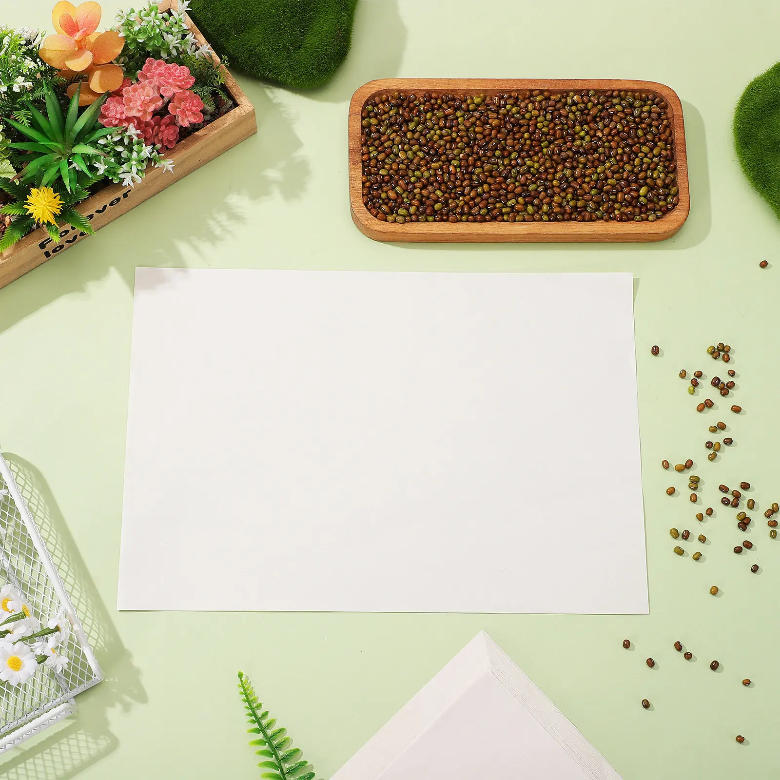 100 Sheets Bean Sprout Germination Paper Moisture Retaining Nursery Growing Mats for Soilless Cultivation