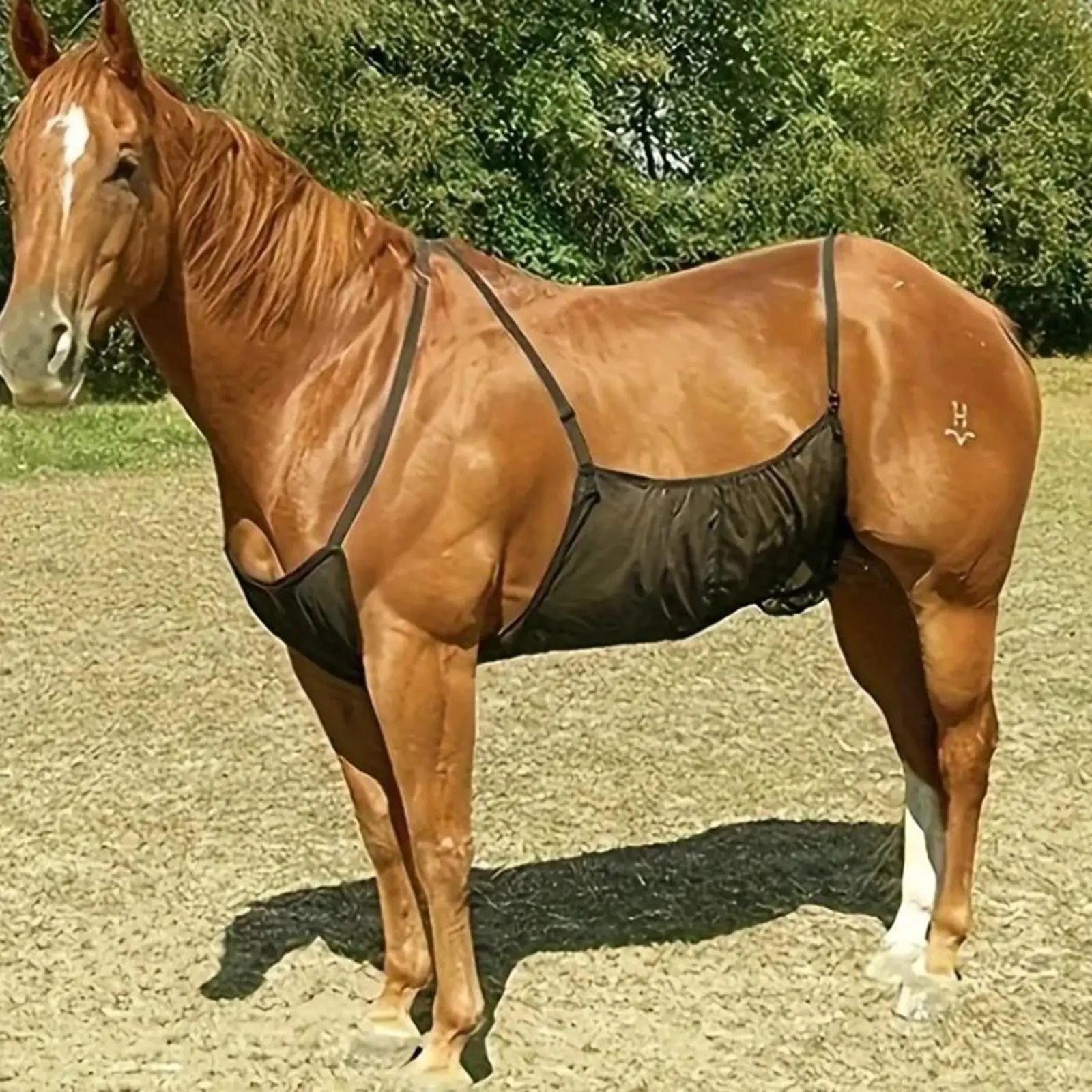 

Простыня для лошади, защита для живота, легкая обертка, товары для домашних животных, сетчатая защита, регулируемый ремень для верховой езды, стабильная настройка на открытом воздухе
