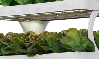 نظام النمو الآلي المائي نظام النمو المائي الذكي أضواء النمو المائية LED عموديًا