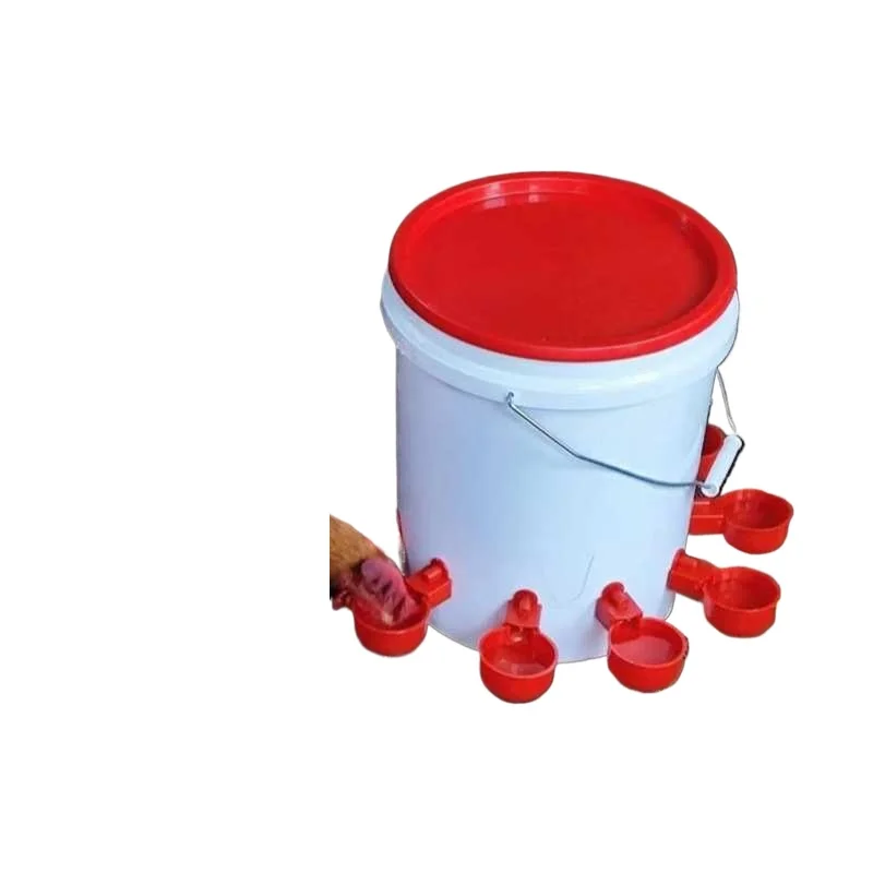 

Chickens with automatic water dispenser sink chicks drink water feed chickens artifact birds poultry ducks geese pigeons
