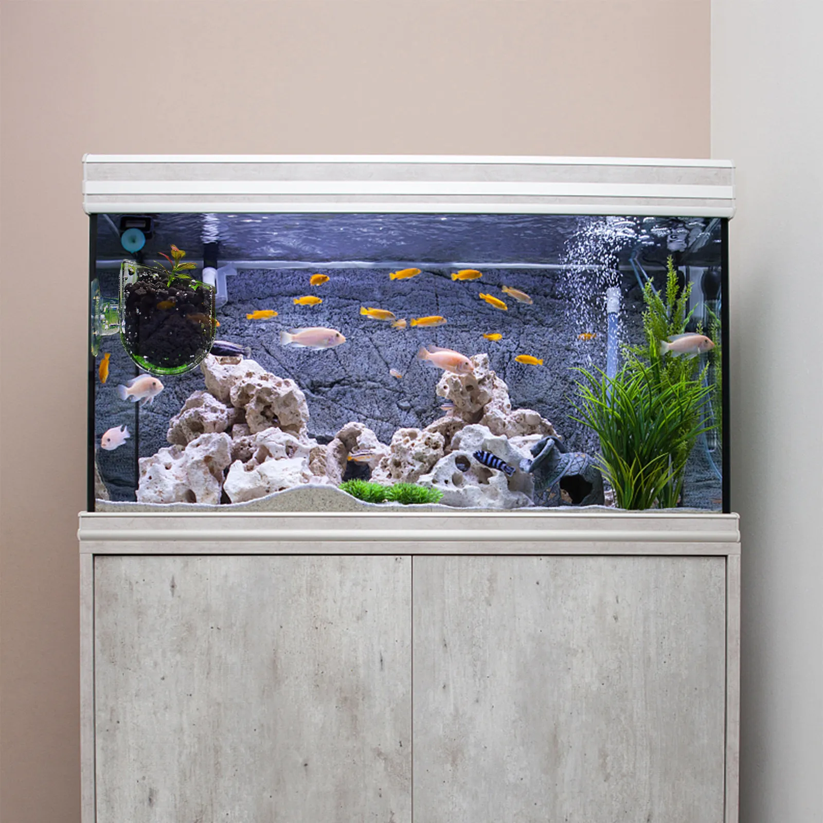 3Pcs Transparent Glass Water G - Aquarium Planted Plants review and price
