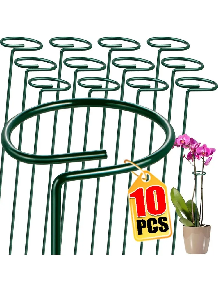 Piquets de plantes de jardin en métal, 1/10 pièces, Support de plantes à tige unique, Support de fleurs de jardin pour tomates, orchidées, pivoines, fleurs de vigne