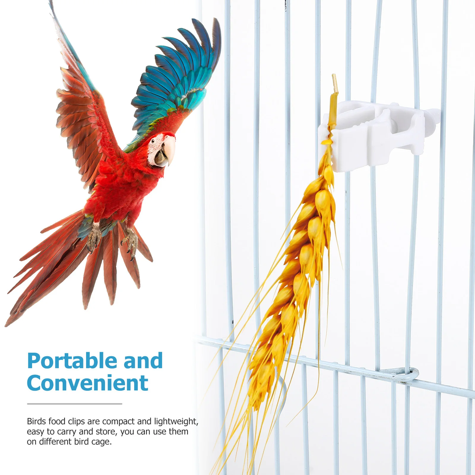 

4Pcs Bird Cage Food Holder Clips Durable ABS Plastic Easy Install Parrot Cage Feeding Clip Bird Accessories Parakeet Food Clips