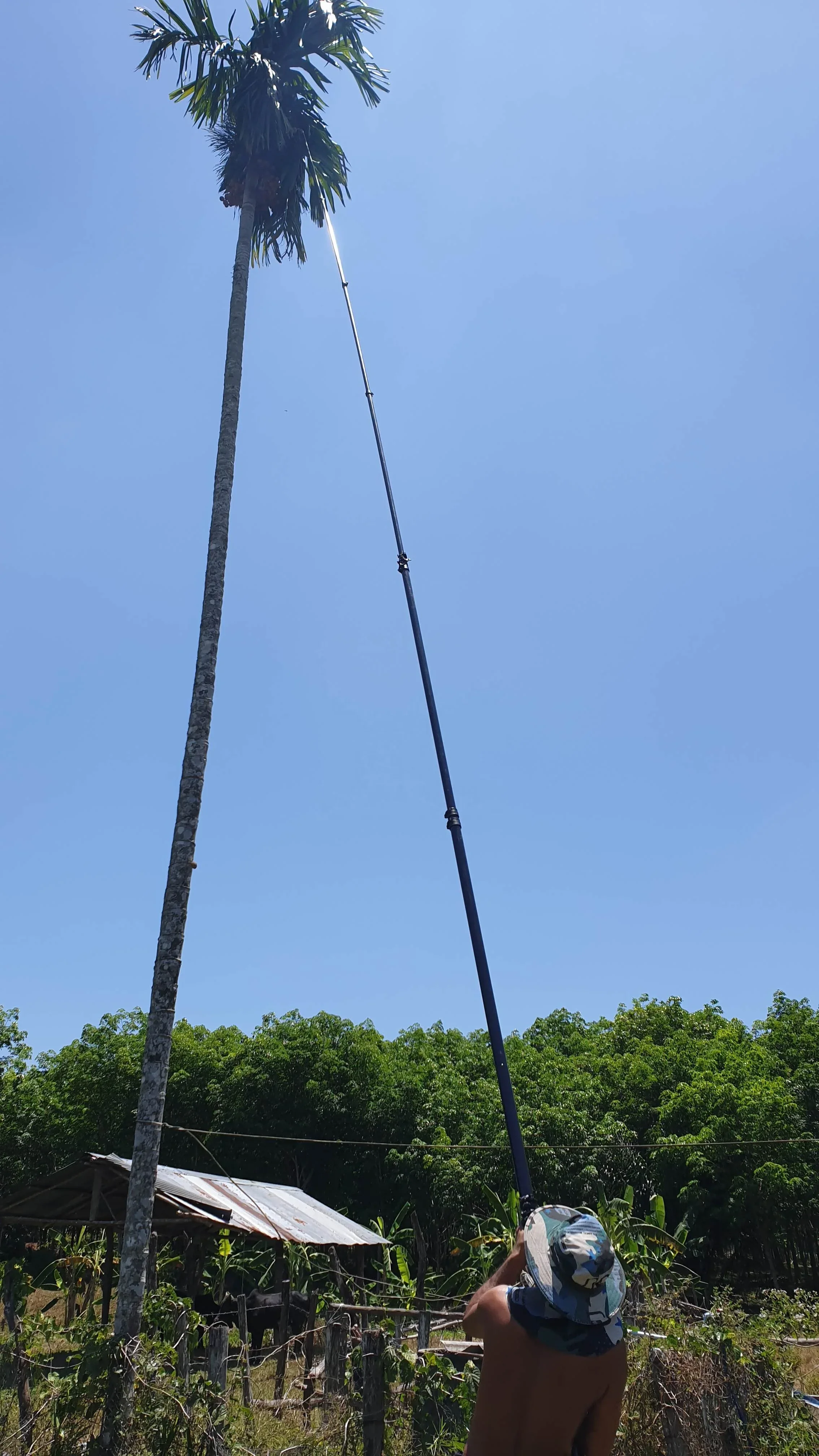 مخزنة 14.5 متر ألياف الكربون أدوات نتف الفاكهة القطب لجوز الهند أريكا الفلفل حصاد أدوات زراعية شحن سريع حار #5