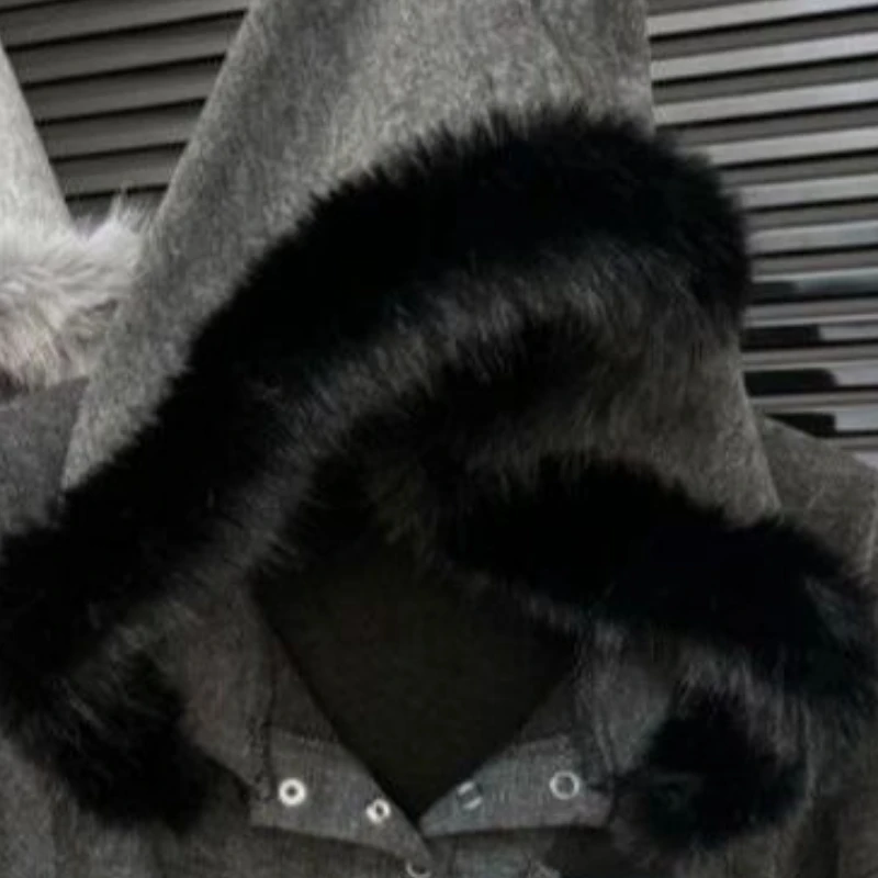 Women's Autumn Spring Tops Hooded Drawstring Solid Color Plush T-shirt Skinny Loose Casual Simple Premium New Versatile Niche