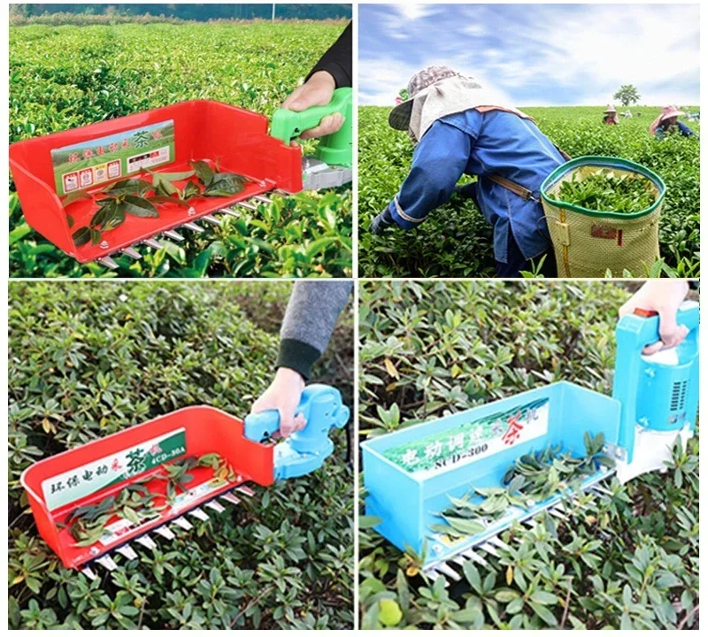 Electric mini tea harvester battery tea picker