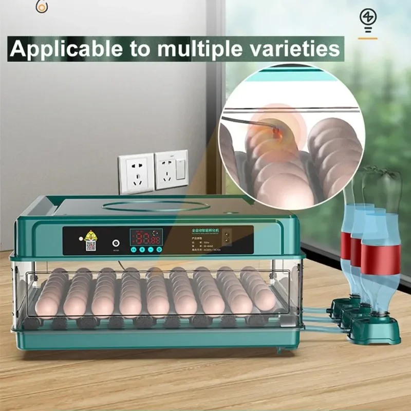 9-15 eggs incubator for Chicken Goose Bird Quail Automatic Incubation Equipment Hatchery Incubation Tools EU Plug