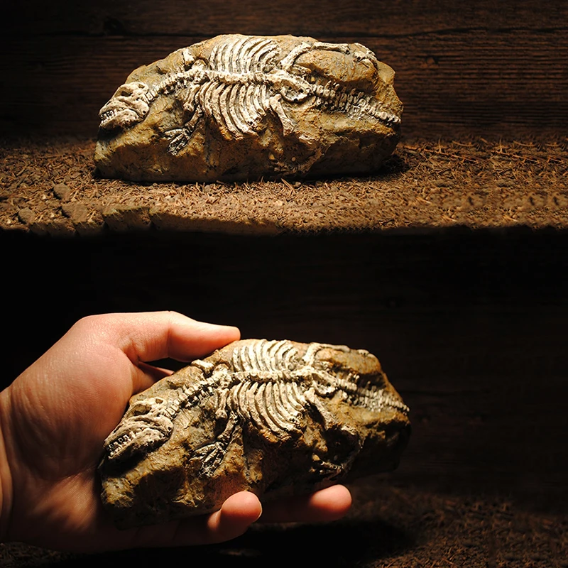 1pcs Aquarium Decorations Resin Fossil Artificial Fish Tank Ornament Shrimps Small Fish Reptile Aquarium Shelter Landscape Decor