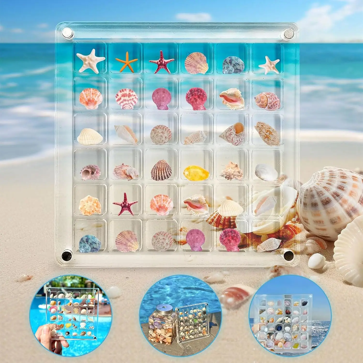 

36-Grids Acrylic Seashell Display Box Durable Starfishs Trinket Storage Case Container for Gemstone Fragments Geological Samples