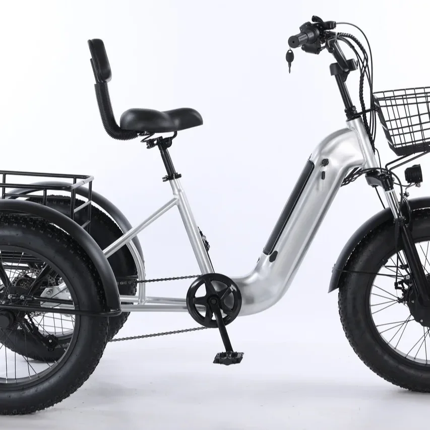 1000w Electric Snow Tricycle Motor 48V Brake Paint Snow Crazy Grab, Explosion 20Inch Built-in Lithium Battery