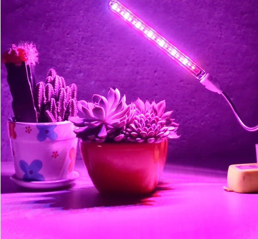 Imagem -03 - Led Full Plant Growth Light Lâmpada de Planta Interior Flower Seedling Estufa Fitolampy Usb 5v