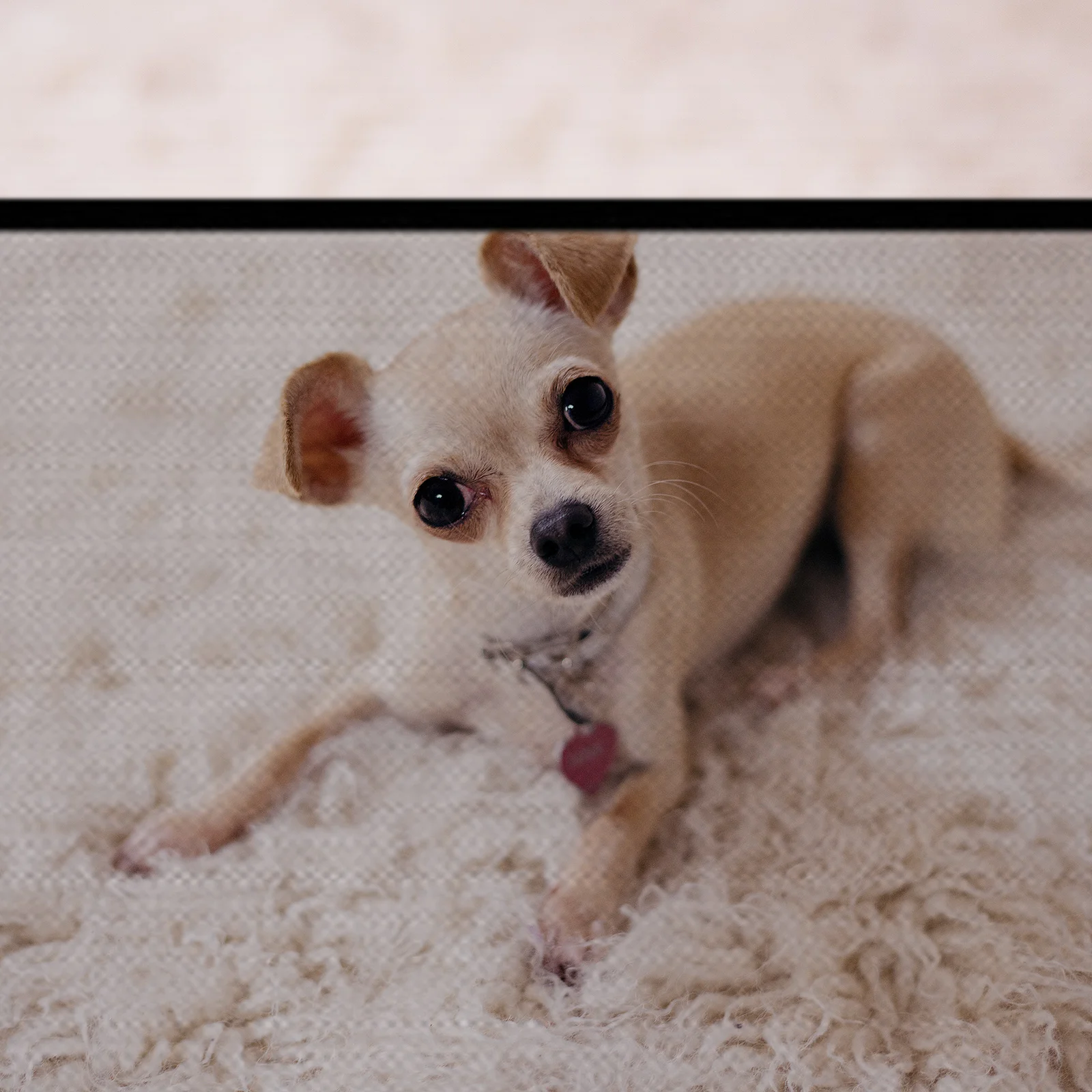 

1 pc No Drilling Baby Safety Gate Portable Children Protective Fence For Stairs Balcony Bathroom Pet Safety Fence Punch Free