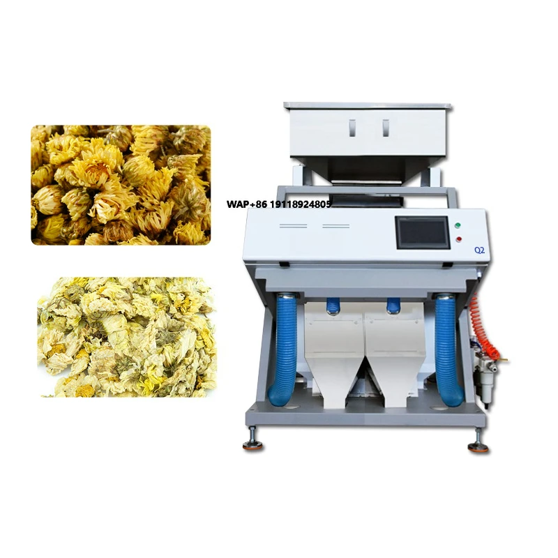 High Quality Brand New Digital Color Sorter China Manufacturer with Good Quality