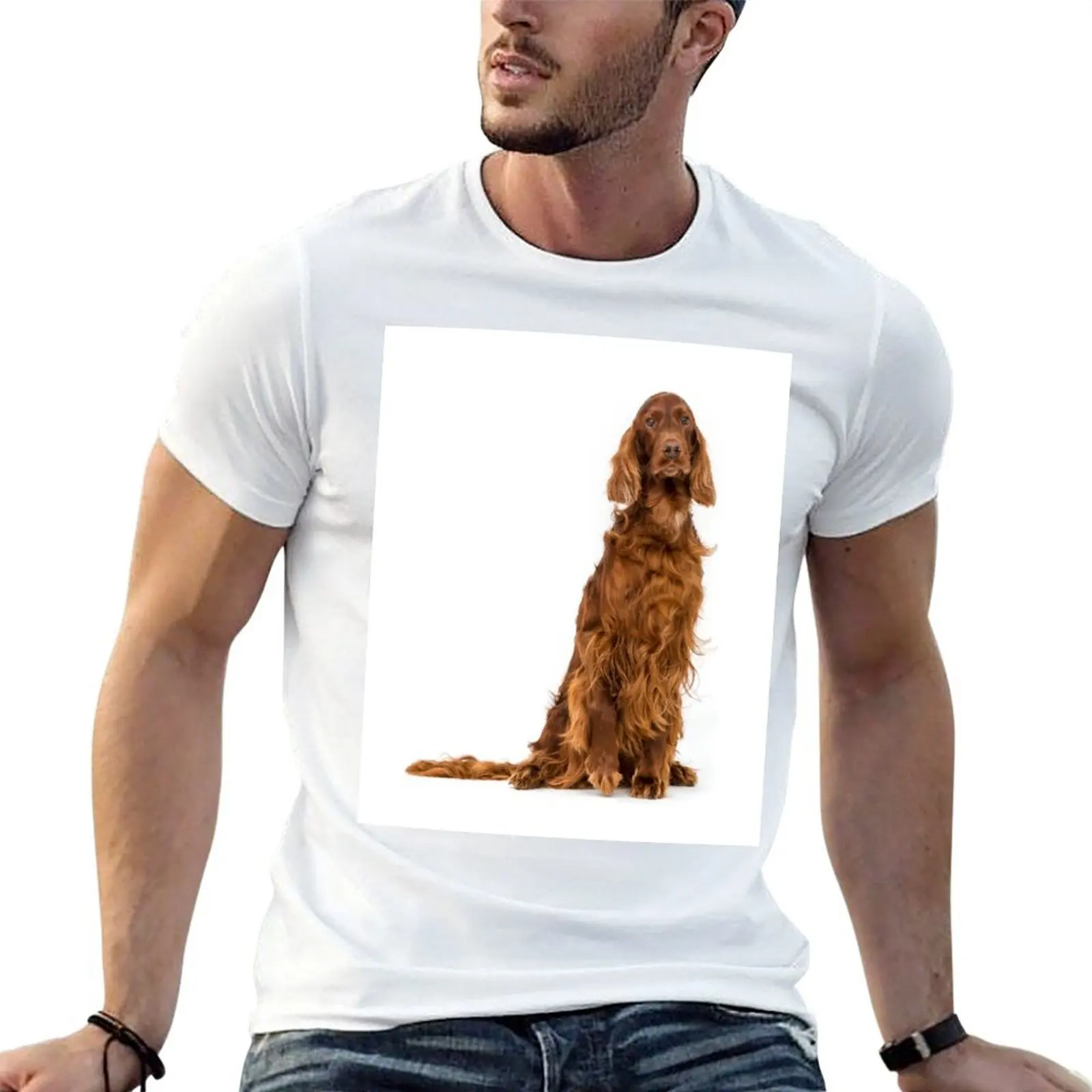 Portrait of Irish Setter sitting T-Shirt man t shirts for men casual t shirts for man cotton t shirt man cotton T-shirt