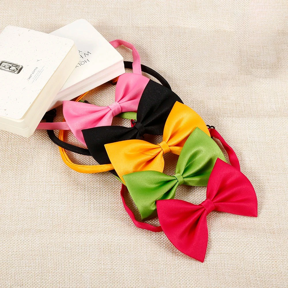 Thumbnail 4 - #11 Compare Puppy Collars Before You Buy