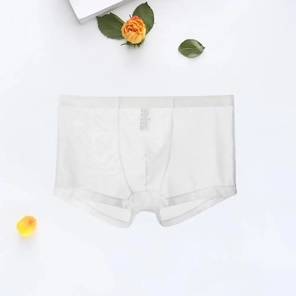 Men Boxers Thin Men Underpants Anti-septic Daily Wear  Chic See-through Men Panties