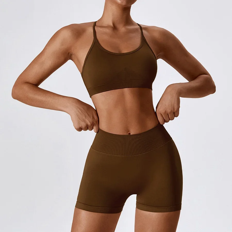 Conjunto de 2 uds de Yoga sin costuras, ropa de gimnasio Sexy, ropa deportiva, trajes de Yoga para mujer, chándal, conjunto de Fitness, chándales, sujetador deportivo para Yoga y gimnasio