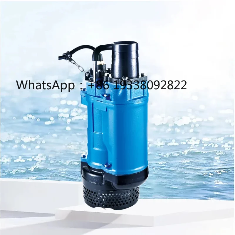 

Large Flow Vertical Slurry Sand Extraction Small Mini Sewage Lifting Water Pump