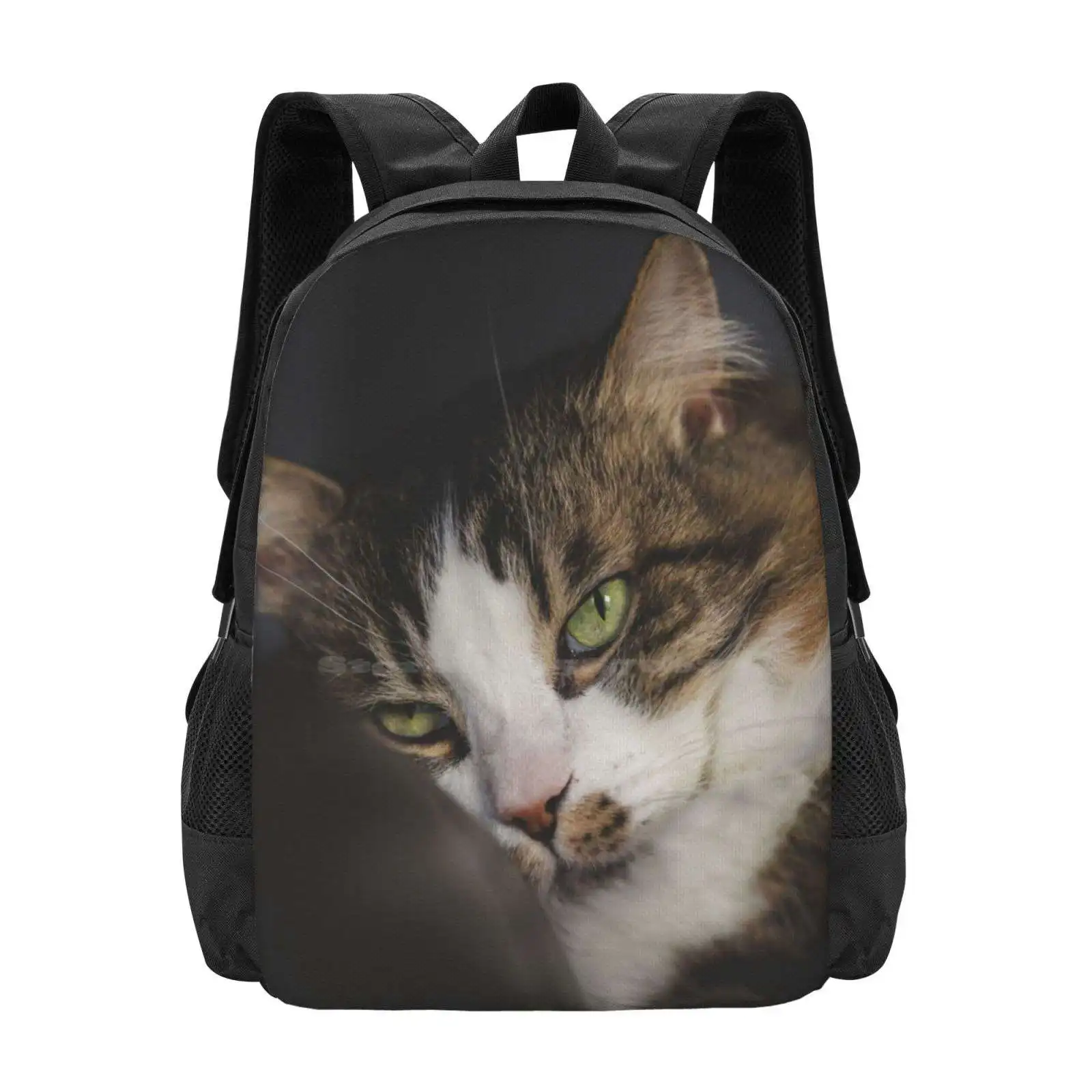 Kucing santai di bantal kucing lucu gambar pola Fashion desain Travel Laptop tas ransel sekolah tas kucing bersantai di gambar kucing lucu