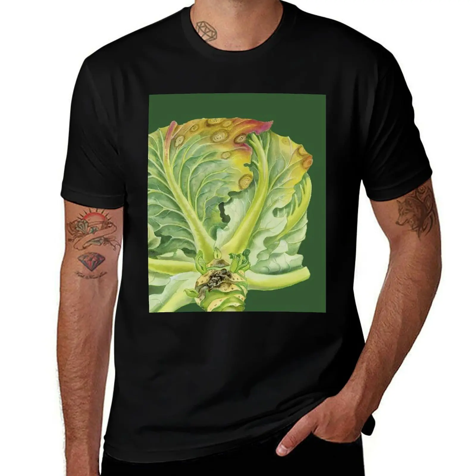 

Blackleg of Cabbage (cut away) T-Shirt t shirt man luxury t shirts for man cotton funny anime tshirt T-shirt