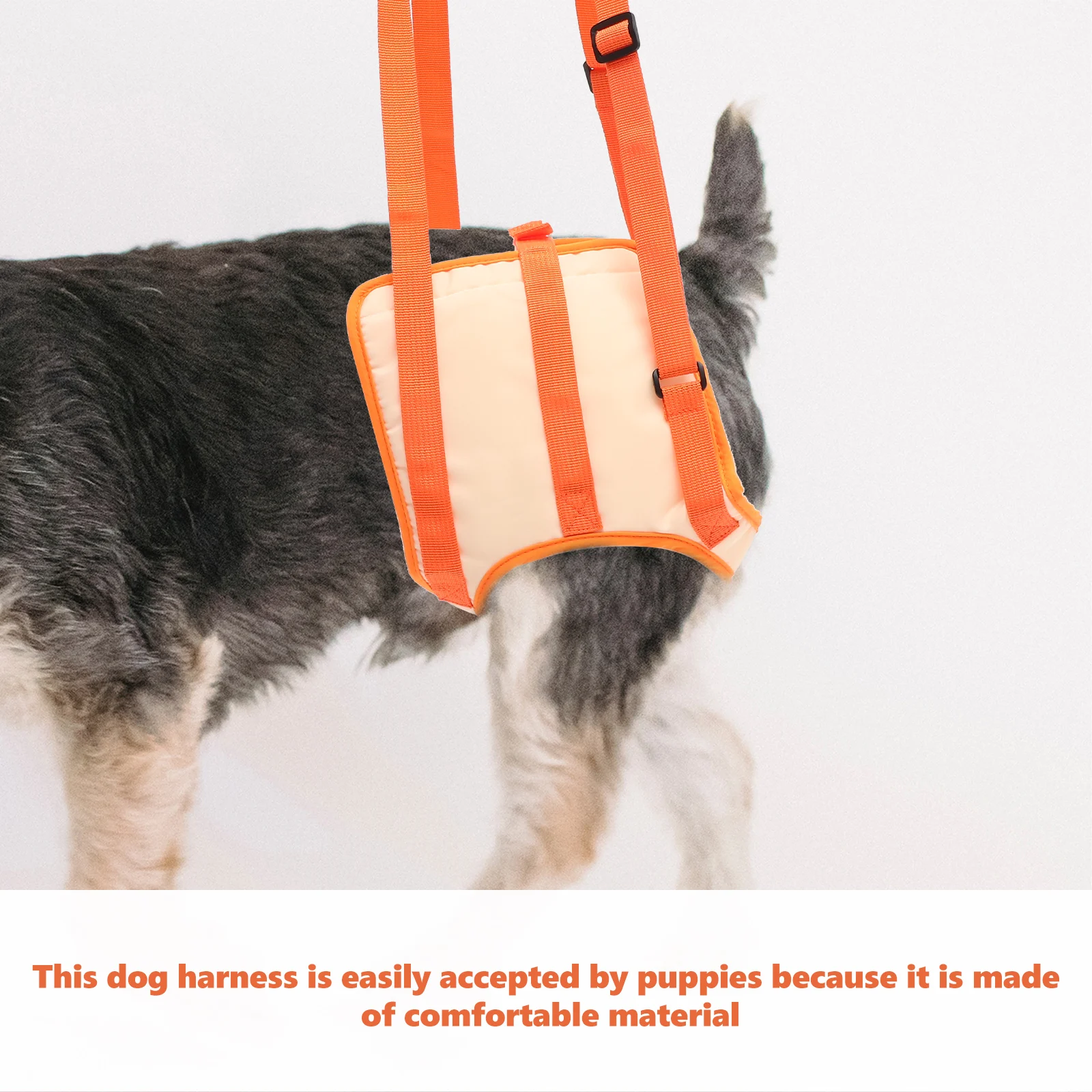 

Pet Auxiliary Belt Dog Supportive Band Oxford Cloth Mobility Orange Rear Harness Strap Injured Recovery Sling Durable Practical