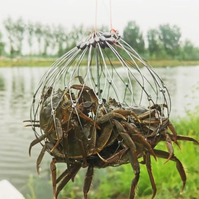 

1Pc Large Shrink Crab Cage Powerful Underwater Fishing Net for Catching Shrimp and Crabs Suitable for Seawater and Freshwater