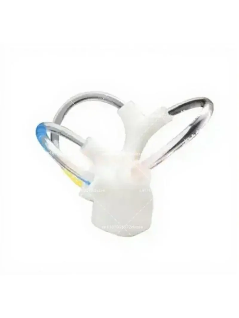 Semicircular Canal Otolith Anatomy Model Skeletal Cochlear Inner Ear Structure Cerebroneural Vestibular Training Aid
