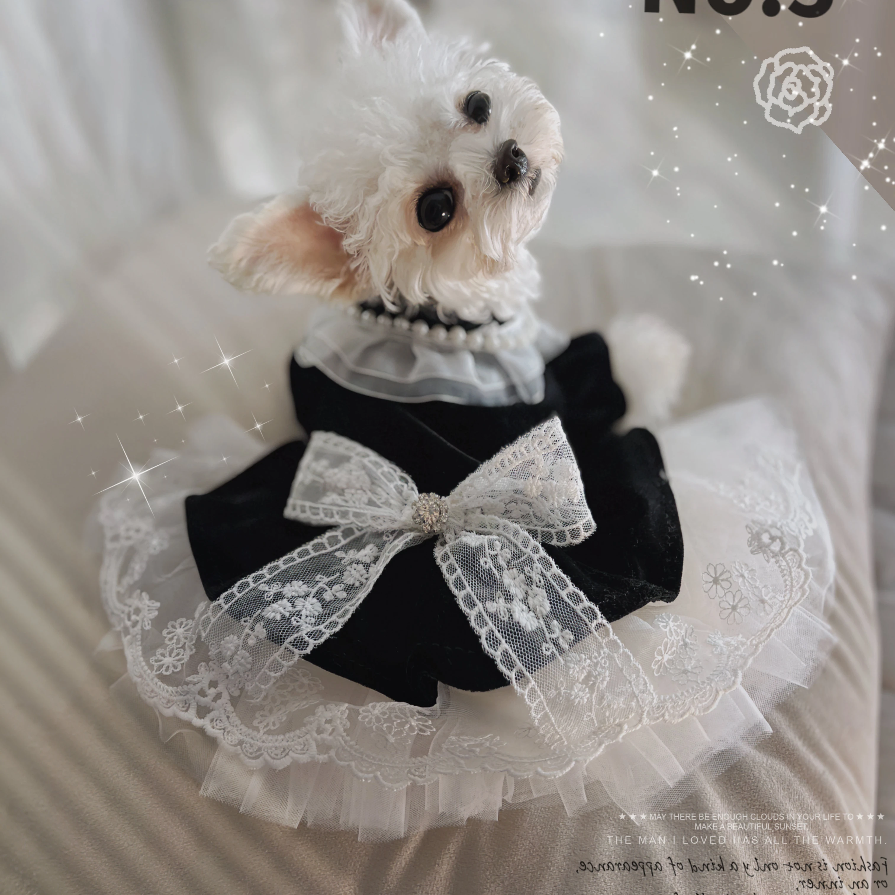 

Dress skirt heavy lace autumn dress puppy dog skirt beautiful Maltese pet