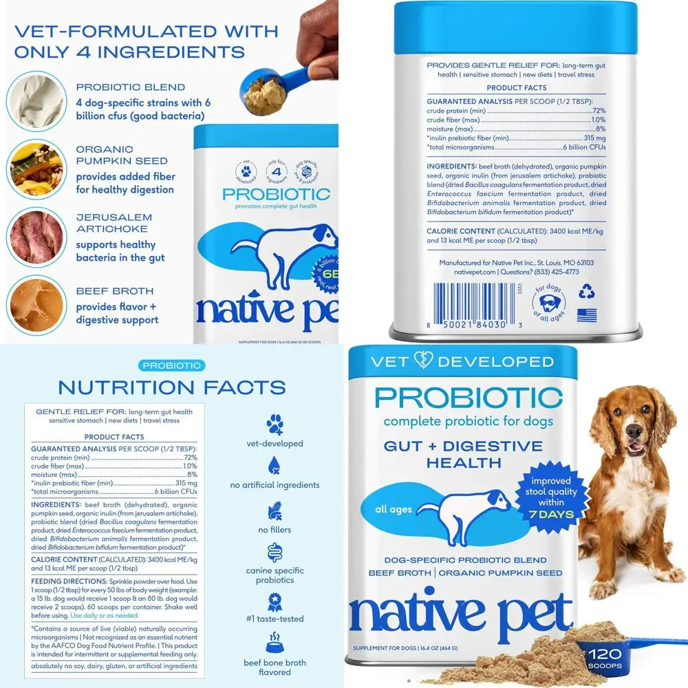 

Digestive Support & Immune Boosting Powder for Dogs - Vet-Formulated, High Potency with Probiotics, 120 Servings