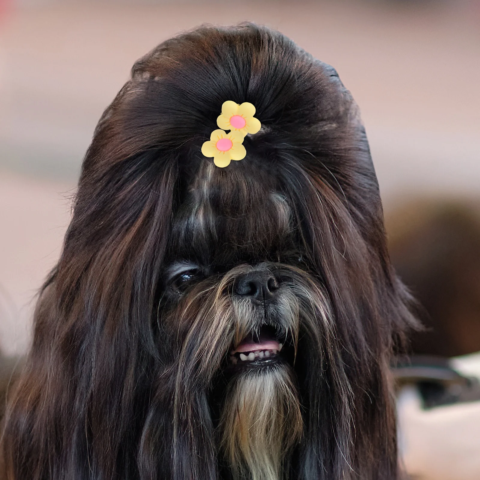 

10Pcs Dog Hair Ties Cute Elastic Bands for Long Haired Dogs Hair Accessories Scrunchies Cartoon Ponytail Holders Decorative